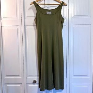 Everlane Luxe Cotton Seamed Tank Dress